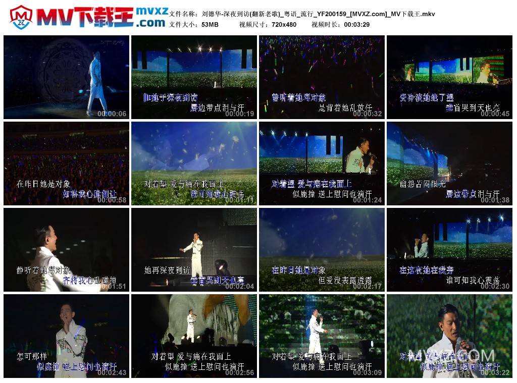刘德华-深夜到访(翻新老歌)_粤语_流行_YF200159